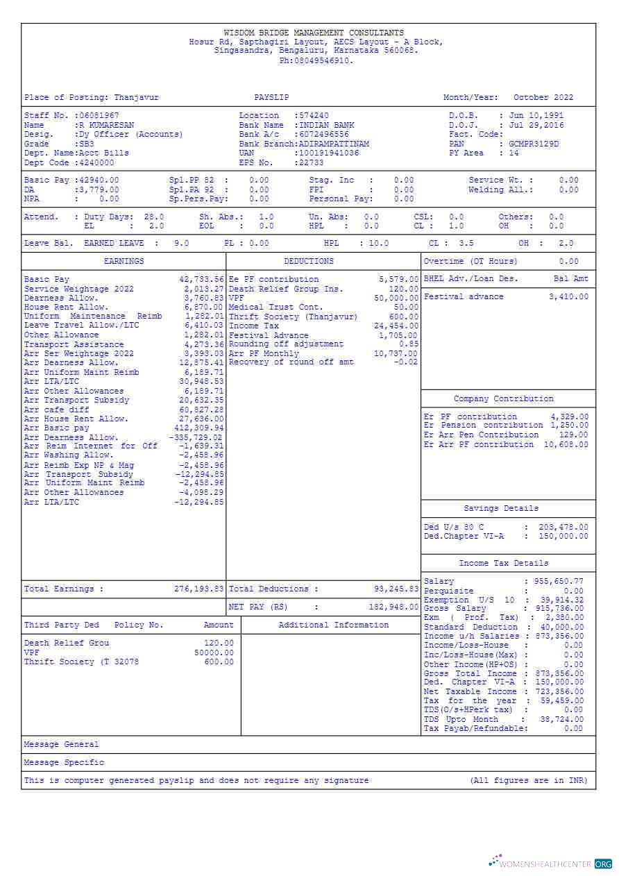 Download Wisdom Bridge Management Consultants payslip template in Word and PDF formats.pdf, 5 Photoshop template